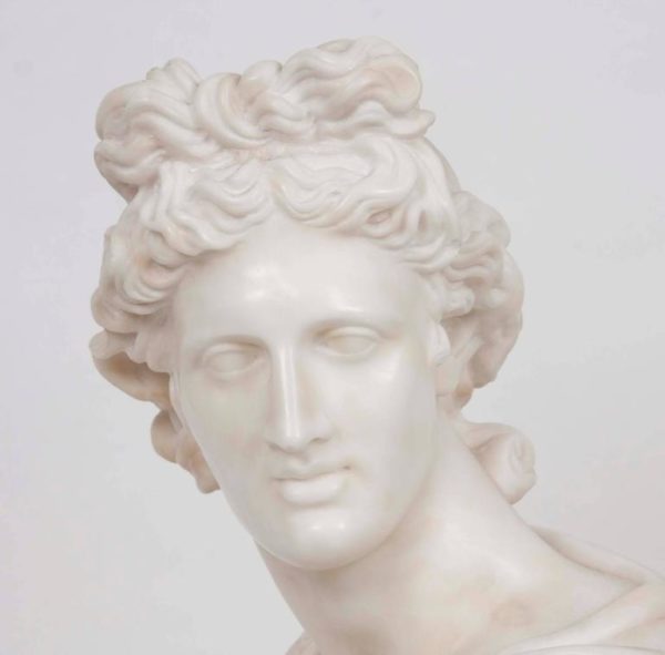 19th Century White Marble Bust of Apollo Belvedere