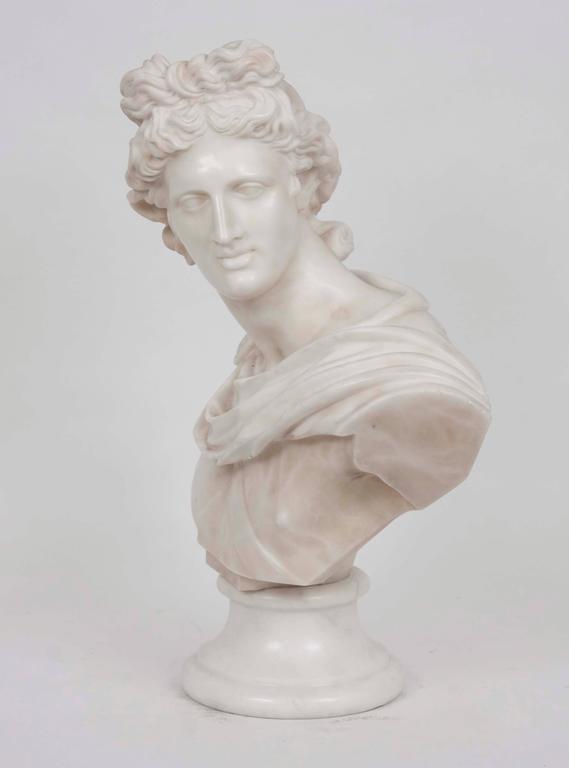19th Century White Marble Bust of Apollo Belvedere